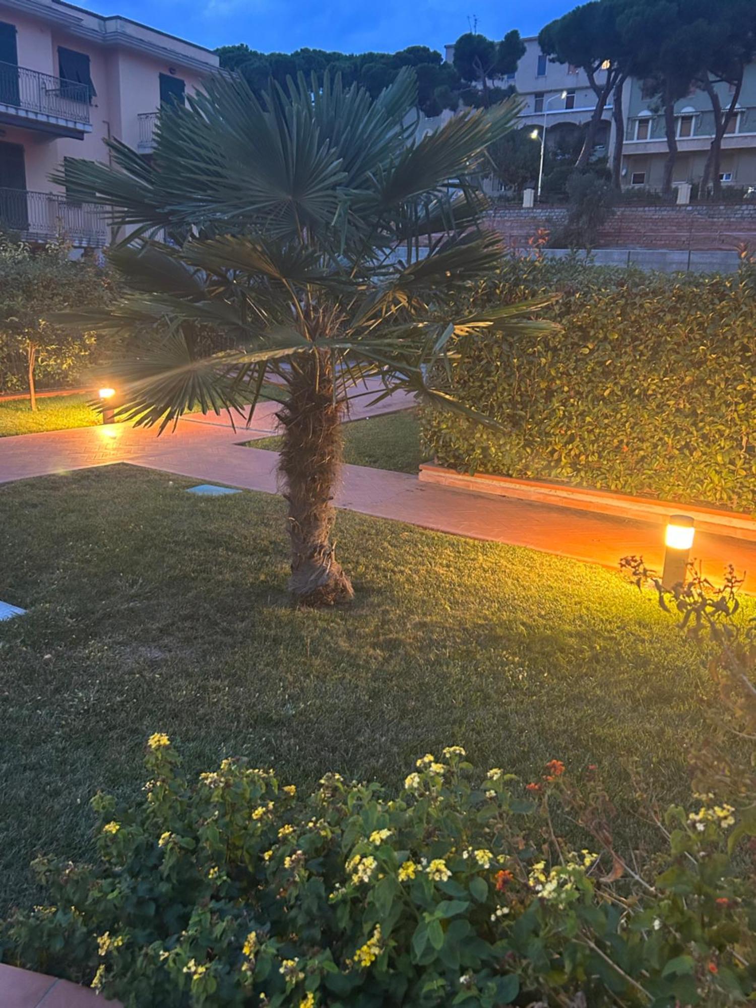Appartamento Incantevole A 100Metri Dal Mare E Accanto Alla Pista Ciclabile อิมเปรีอา ภายนอก รูปภาพ